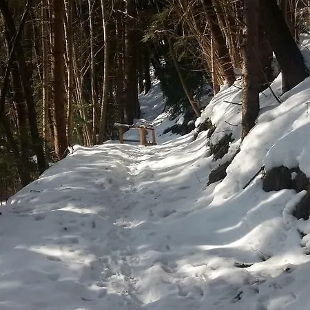 Haus Elisabeth * Mittersill