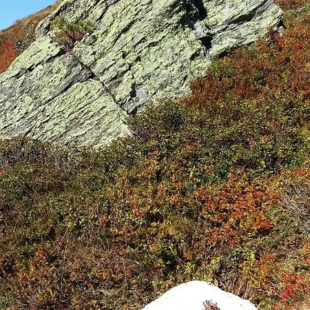 Apartment Haus Elisabeth *