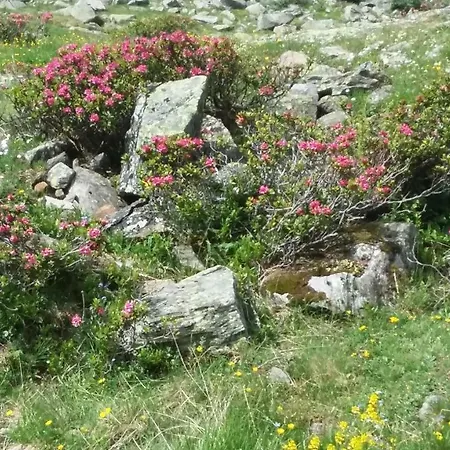 Haus Elisabeth * Mittersill