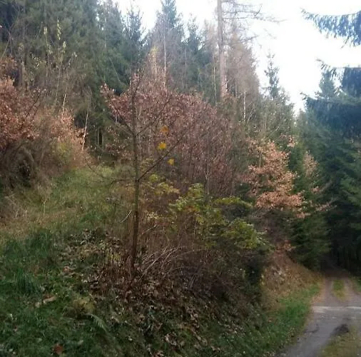 Апартаменты Haus Elisabeth