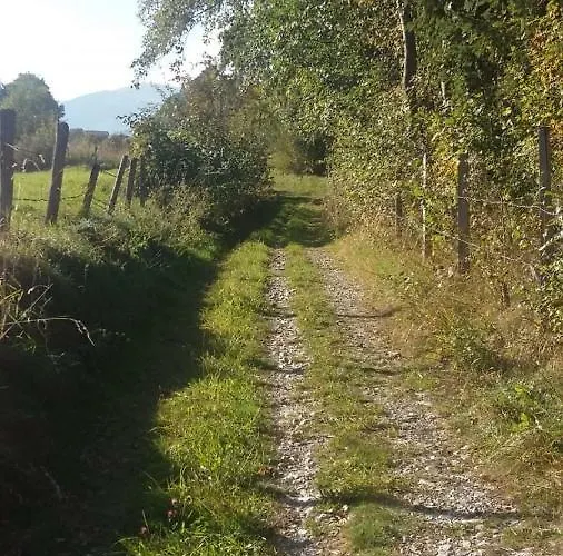 Apartment Haus Elisabeth *