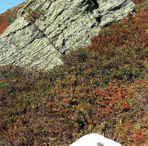 Апартаменты Haus Elisabeth *