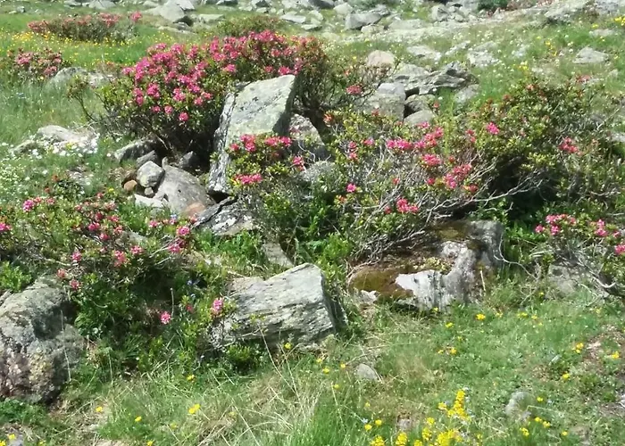 Haus Elisabeth * Миттерзилль