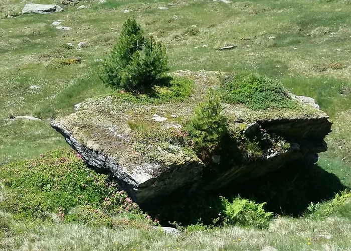 Haus Elisabeth Миттерзилль